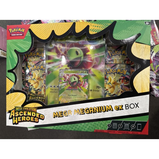 Ascended hero Mega Meganium/Emboar ex Box